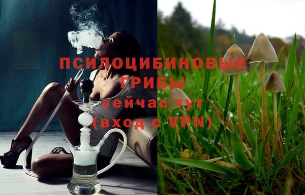 сатива Абинск