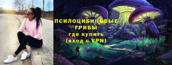 стаф Россошь